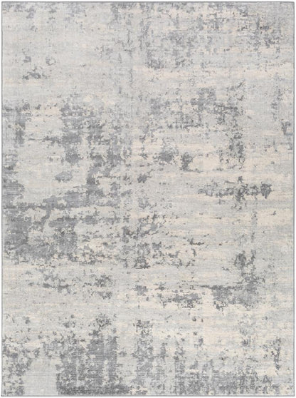 Livabliss - Monaco 53inx73in Machine Woven Rug - MOC2311-5373 veiw 1
