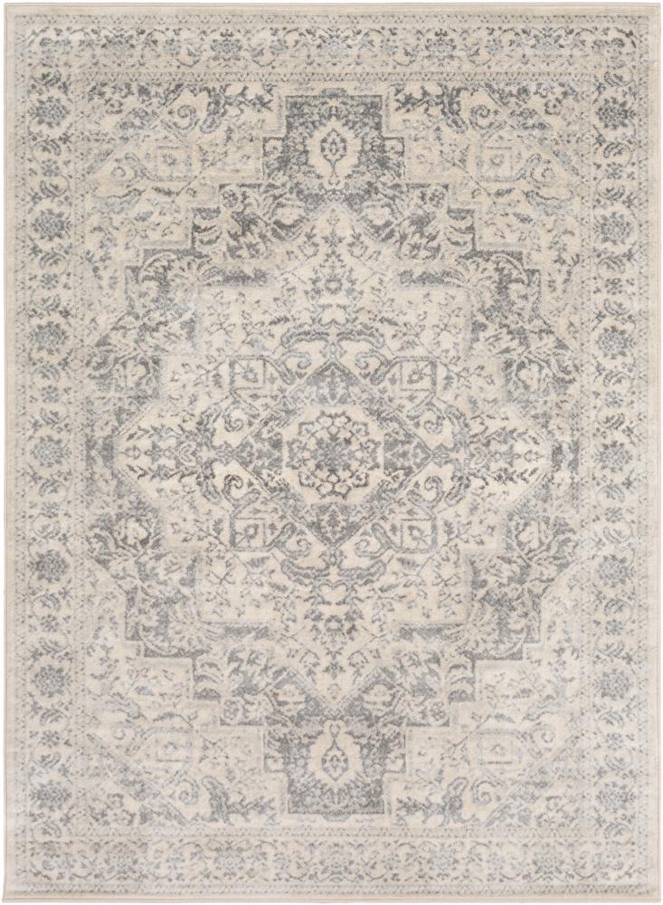 Livabliss - Monaco 53inx73in Machine Woven Rug - MOC2315-5373 veiw 1