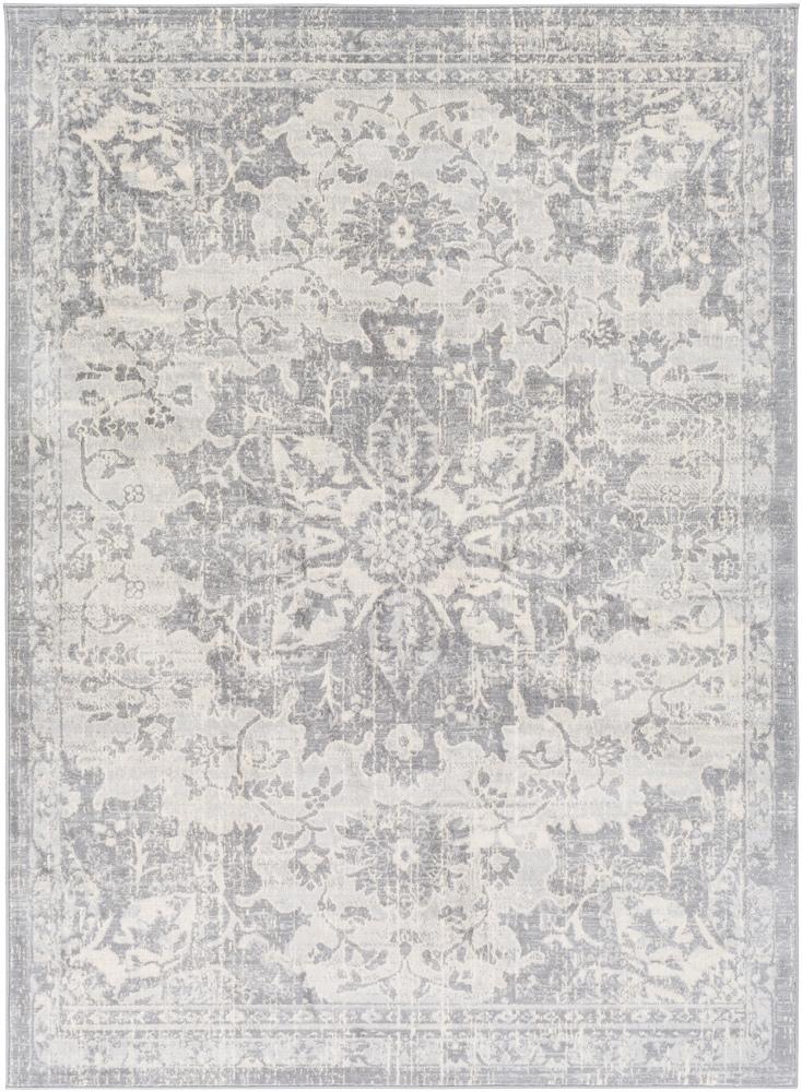 Livabliss - Monaco 53inx73in Machine Woven Rug - MOC2328-5373 veiw 1