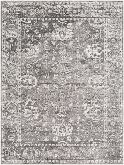 Livabliss - Monte Carlo 43inx57in Machine Woven Rug - MNC2311-31157 veiw 1