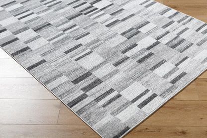 Livabliss - Monte Carlo 53inx73in Machine Woven Rug - MNC2364-5373 veiw 2