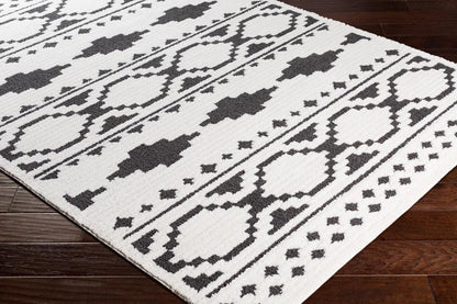 Livabliss - Moroccan Shag 53inx73in Machine Woven Rug - MCS2305-5373 veiw 3