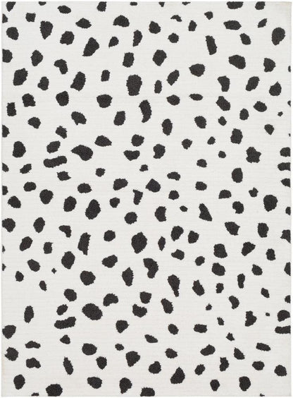 Livabliss - Moroccan Shag 53inx73in Machine Woven Rug - MCS2307-5373 veiw 1