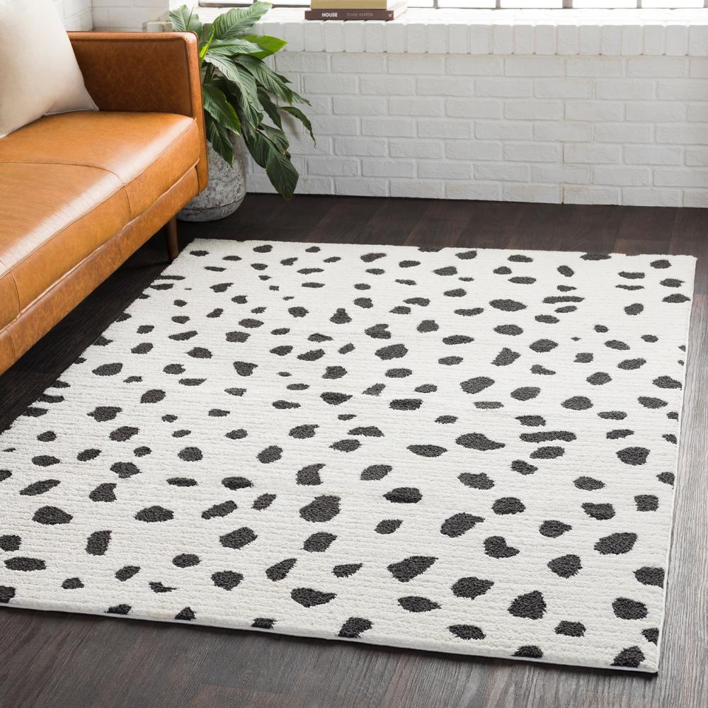 Livabliss - Moroccan Shag 53inx73in Machine Woven Rug - MCS2307-5373 veiw 2