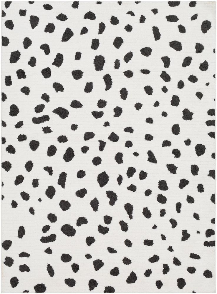 Livabliss - Moroccan Shag 67inx96in Machine Woven Rug - MCS2307-6796 veiw 1