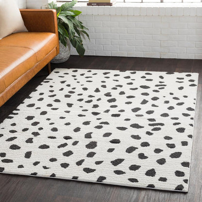 Livabliss - Moroccan Shag 67inx96in Machine Woven Rug - MCS2307-6796 veiw 2