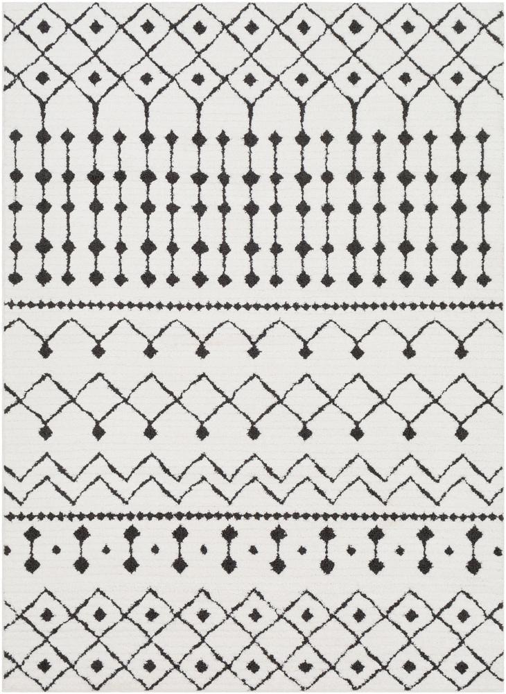 Livabliss - Moroccan Shag 43inx511in Machine Woven Rug - MCS2309-43511 veiw 1