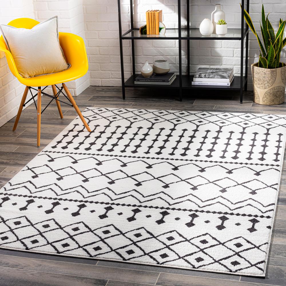Livabliss - Moroccan Shag 53inx73in Machine Woven Rug - MCS2309-5373 veiw 2