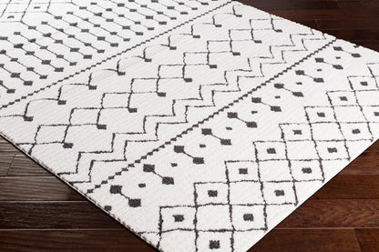 Livabliss - Moroccan Shag 67inx67in Machine Woven Rug - MCS2309-67RD veiw 3