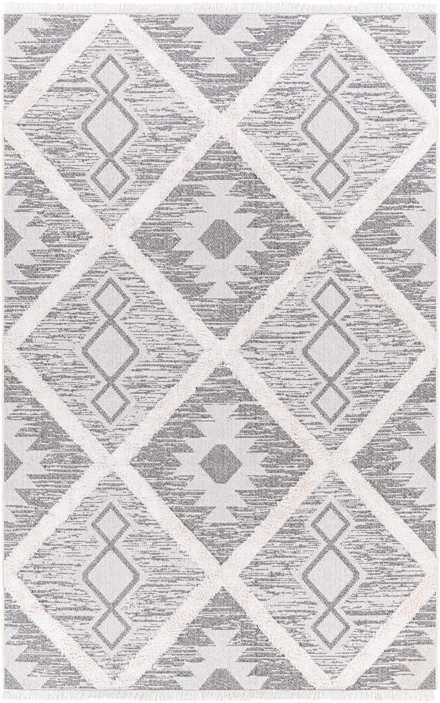 Livabliss - Morocotton 64inx9 Machine Woven Rug - MCT2300-649_CLOSEOUT veiw 1