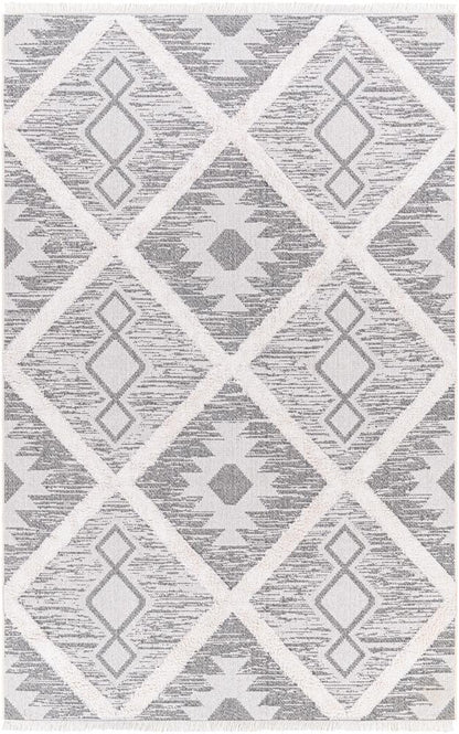 Livabliss - Morocotton 64inx9 Machine Woven Rug - MCT2300-649_CLOSEOUT veiw 1
