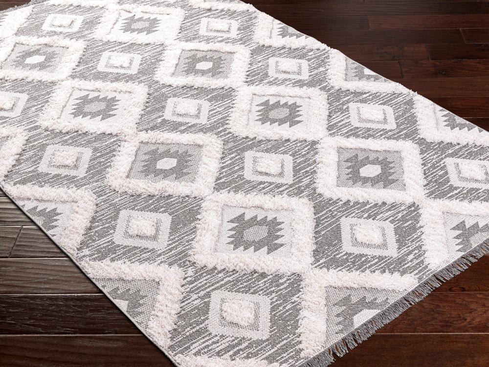 Livabliss - Morocotton 26inx73in Machine Woven Rug - MCT2303-2673_CLOSEOUT veiw 2