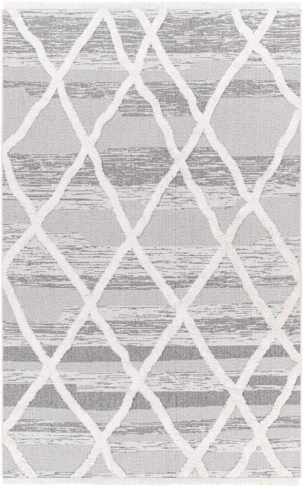 Livabliss - Morocotton 21inx39in Machine Woven Rug - MCT2306-2139_CLOSEOUT veiw 1