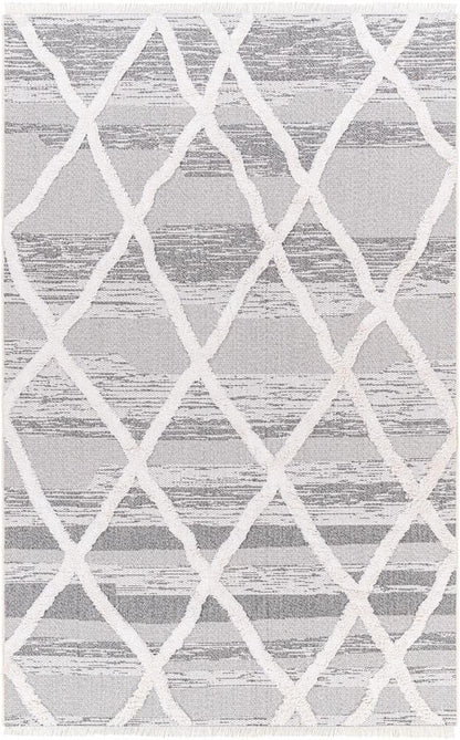 Livabliss - Morocotton 21inx39in Machine Woven Rug - MCT2306-2139_CLOSEOUT veiw 1