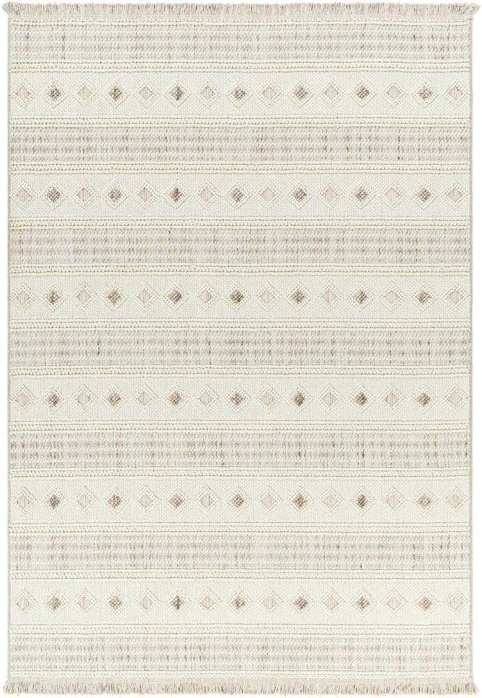 Livabliss - New Delhi 79inx10 Machine Woven Rug - NWH2306-7910 veiw 1