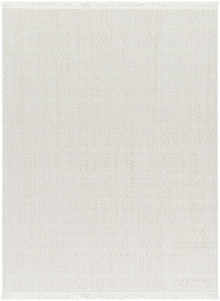 Livabliss - New Delhi 310inx57in Machine Woven Rug - NWH2308-31057 veiw 1