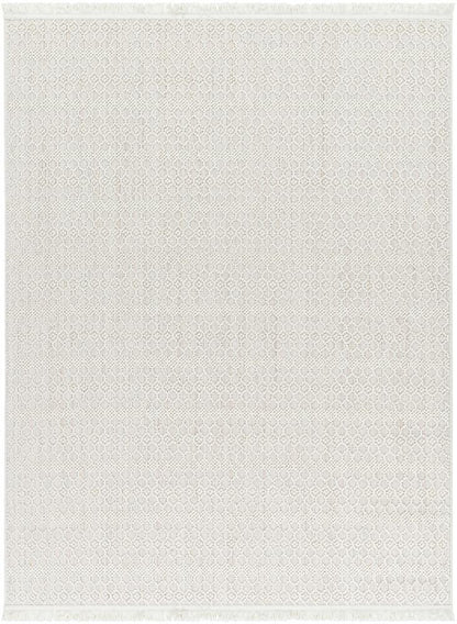 Livabliss - New Delhi 52inx7 Machine Woven Rug - NWH2308-527 veiw 1