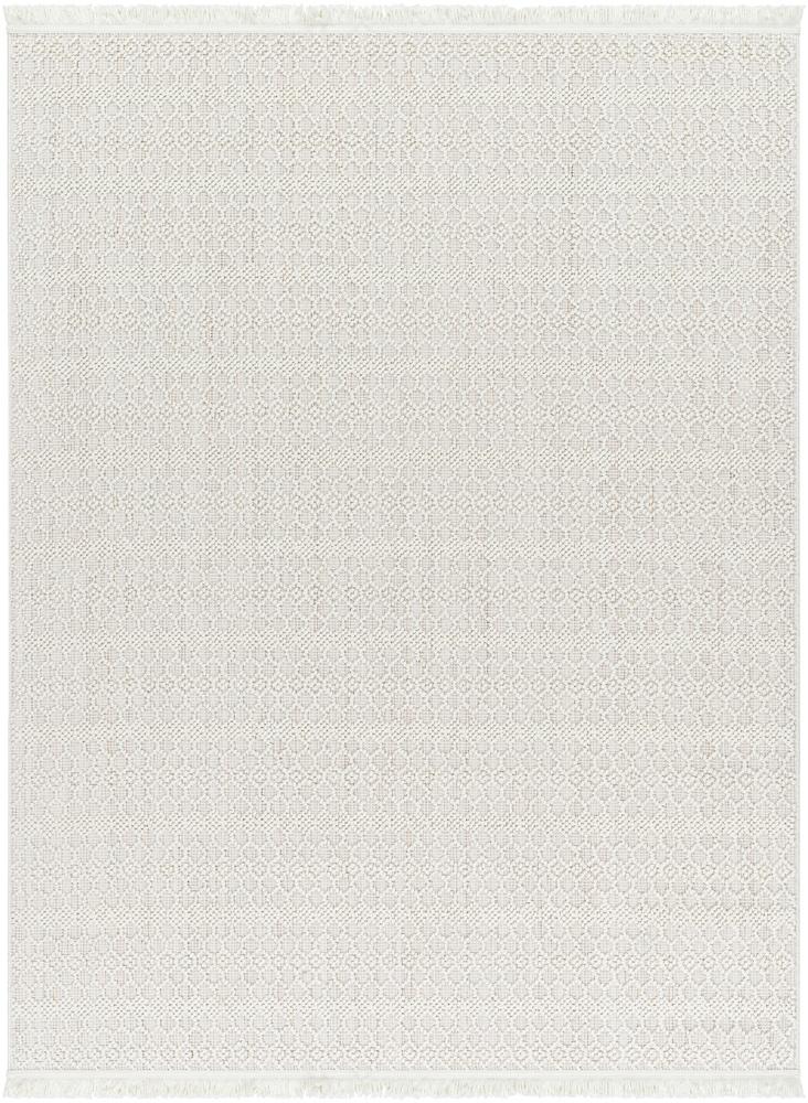 Livabliss - New Delhi 79inx10 Machine Woven Rug - NWH2308-7910 veiw 1