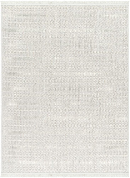 Livabliss - New Delhi 79inx10 Machine Woven Rug - NWH2308-7910 veiw 1
