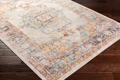 Livabliss - New Mexico 27inx73in Machine Woven Rug - NWM2300-2773 veiw 3