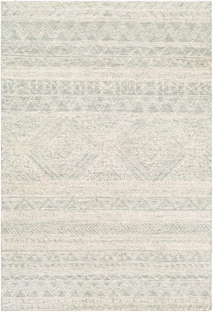 Livabliss - Newcastle 6x9 Handmade Rug - NCS2312-69 veiw 1