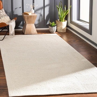 Livabliss - Newcastle 9x12 Handmade Rug - NCS2314-912 veiw 2
