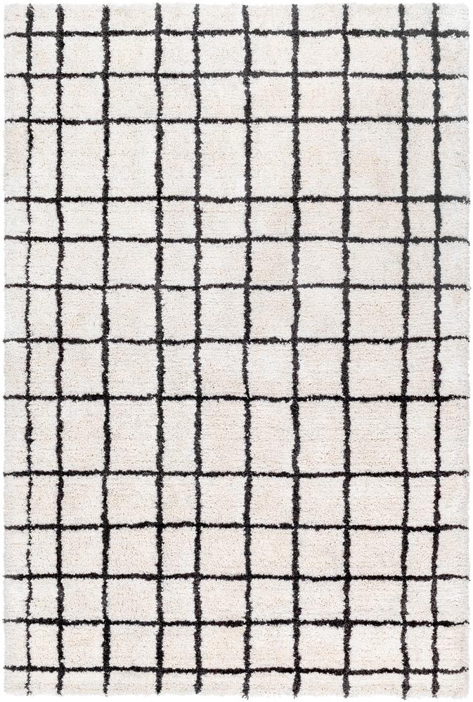 Livabliss - Nicole 2x3 Handmade Rug - NCO2300-23 veiw 1