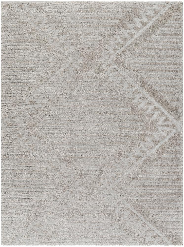 Livabliss - Nomadic 67inx9 Machine Woven Rug - NMC2300-679 veiw 1