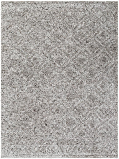 Livabliss - Nomadic 53inx7 Machine Woven Rug - NMC2303-537 veiw 1