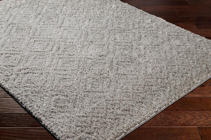 Livabliss - Nomadic 67inx9 Machine Woven Rug - NMC2303-679 veiw 3