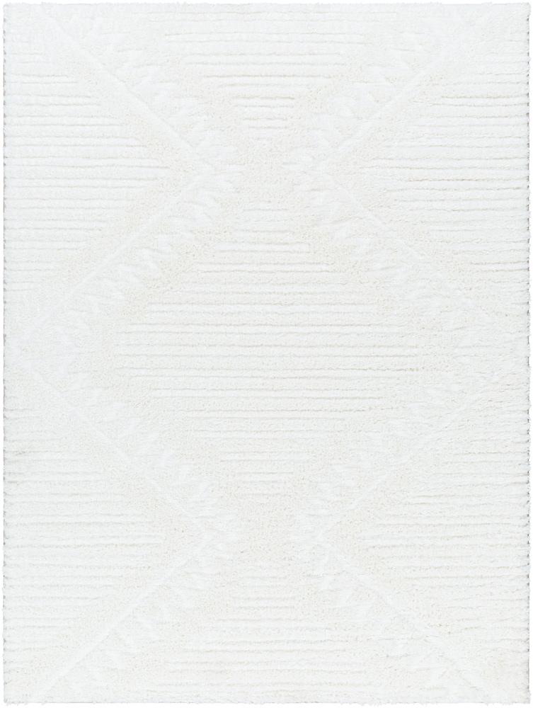 Livabliss - Nomadic 53inx7 Machine Woven Rug - NMC2304-537 veiw 1