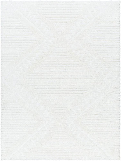 Livabliss - Nomadic 53inx7 Machine Woven Rug - NMC2304-537 veiw 1