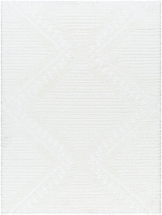 Livabliss - Nomadic 53inx7 Machine Woven Rug - NMC2304-537 veiw 1