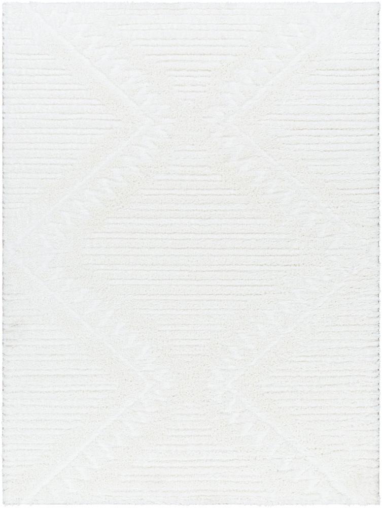 Livabliss - Nomadic 67inx9 Machine Woven Rug - NMC2304-679 veiw 1