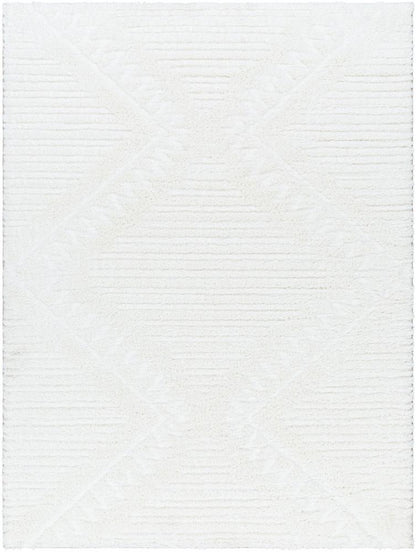Livabliss - Nomadic 67inx9 Machine Woven Rug - NMC2304-679 veiw 1