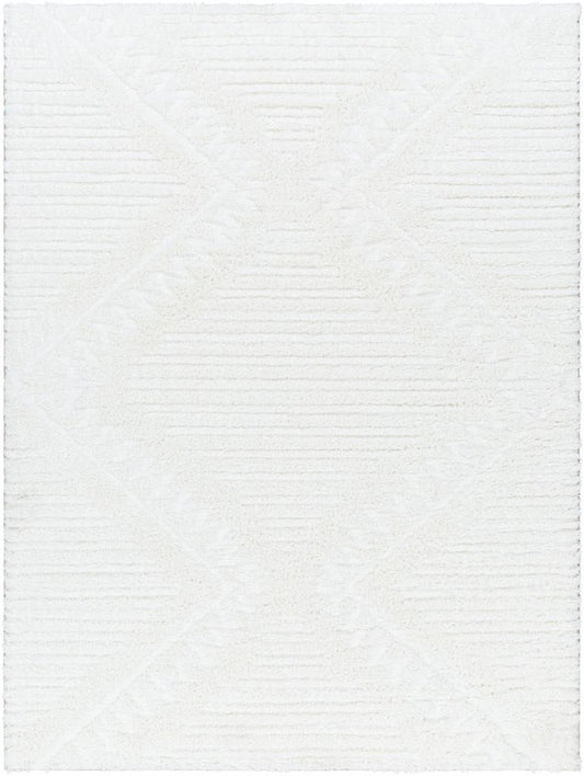 Livabliss - Nomadic 67inx9 Machine Woven Rug - NMC2304-679 veiw 1