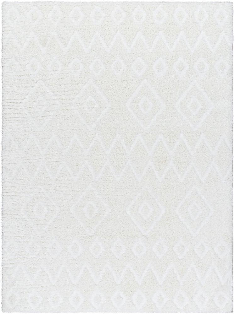 Livabliss - Nomadic 67inx9 Machine Woven Rug - NMC2306-679 veiw 1