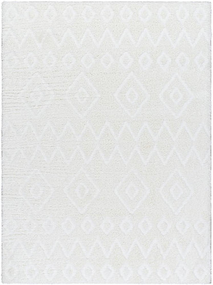 Livabliss - Nomadic 67inx9 Machine Woven Rug - NMC2306-679 veiw 1