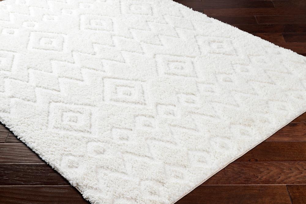 Livabliss - Nomadic 67inx9 Machine Woven Rug - NMC2306-679 veiw 3