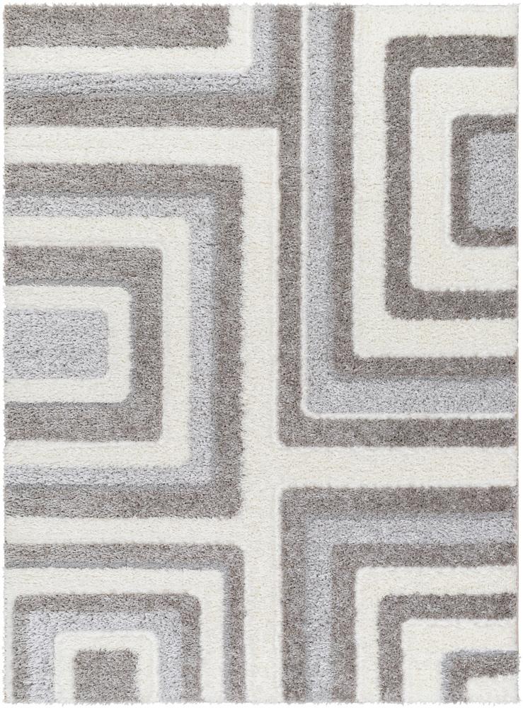 Livabliss - Nomadic 53inx7 Machine Woven Rug - NMC2309-537_CLOSEOUT veiw 1