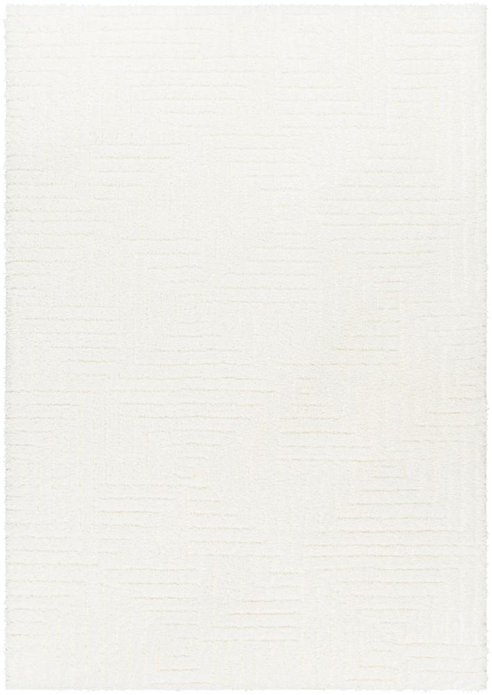 Livabliss - Nomadic 67inx9 Machine Woven Rug - NMC2314-679 veiw 1