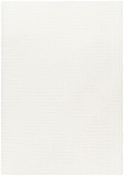 Livabliss - Nomadic 67inx9 Machine Woven Rug - NMC2314-679 veiw 1