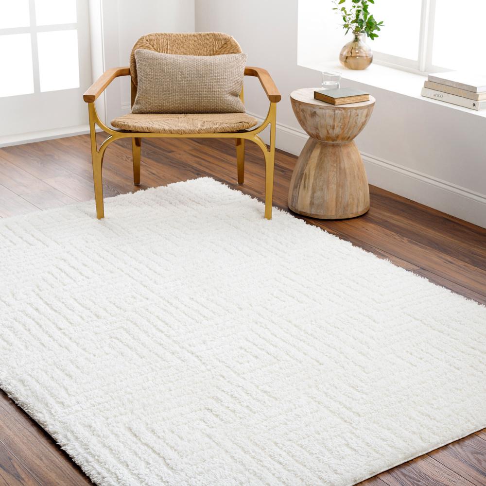 Livabliss - Nomadic 67inx9 Machine Woven Rug - NMC2314-679 veiw 2