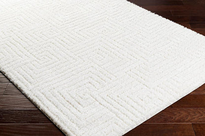 Livabliss - Nomadic 710inx10 Machine Woven Rug - NMC2314-71010 veiw 3