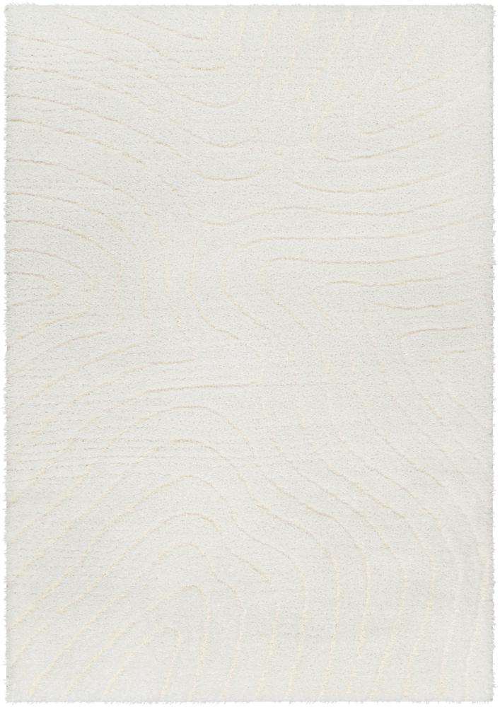 Livabliss - Nomadic 67inx9 Machine Woven Rug - NMC2315-679 veiw 1