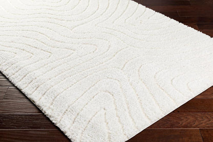Livabliss - Nomadic 67inx9 Machine Woven Rug - NMC2315-679 veiw 3