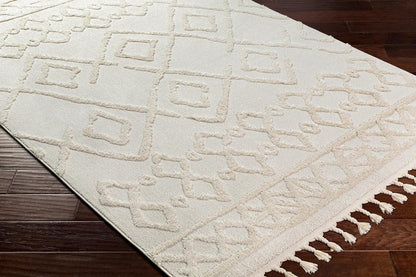 Livabliss - Nora 53inx7 Machine Woven Rug - NOA2300-537_CLOSEOUT veiw 3