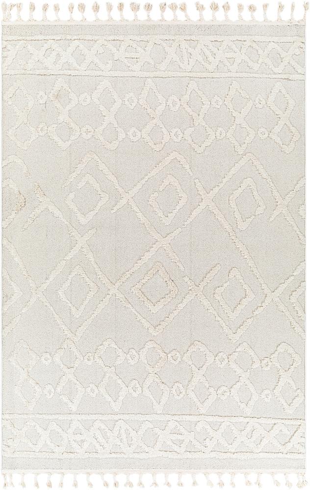 Livabliss - Nora 67inx9 Machine Woven Rug - NOA2300-679_CLOSEOUT veiw 1