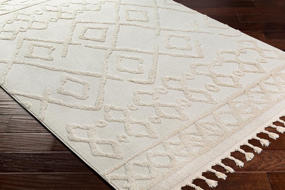 Livabliss - Nora 710inx10 Machine Woven Rug - NOA2300-71010_CLOSEOUT veiw 3