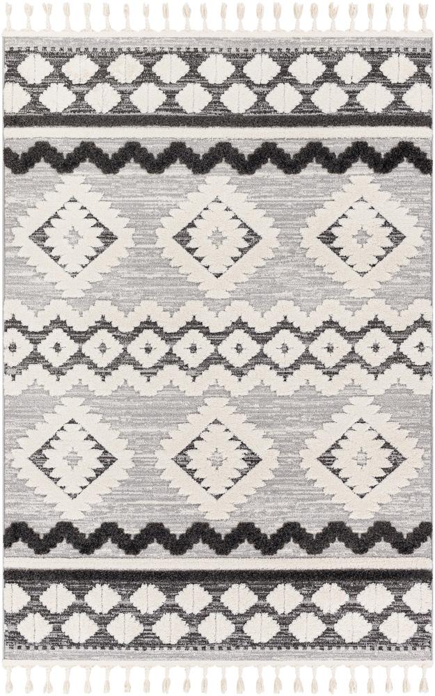Livabliss - Nora 67inx9 Machine Woven Rug - NOA2301-679 veiw 1